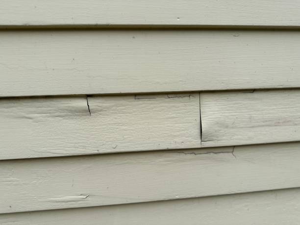 Best Composite Siding  in Pine Air, FL